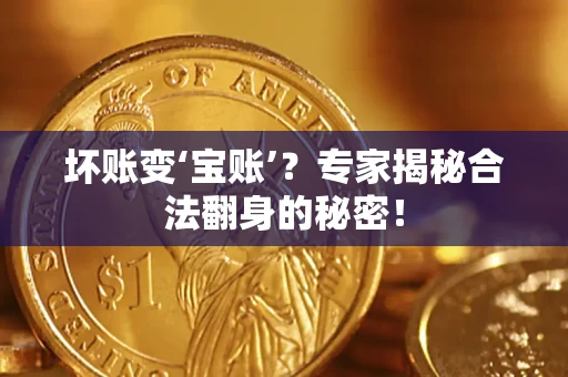 北京坏账变‘宝账’？专家揭秘合法翻身的秘密！